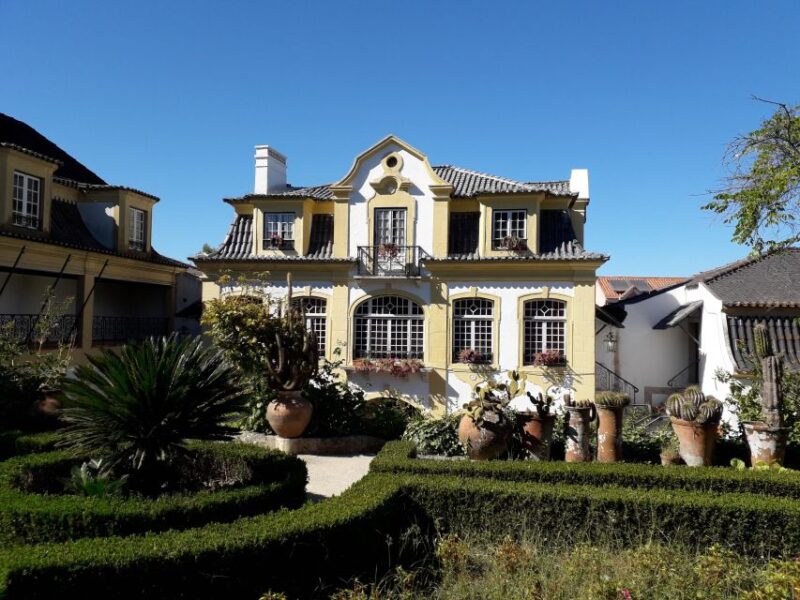 DOLPHIN LOVERS FULL DAY TOUR - Explore Lisbons Rich Flavors and Coastal Beauty in One Day