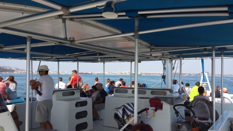 DOLPHIN LOVERS FULL DAY TOUR - Key Points