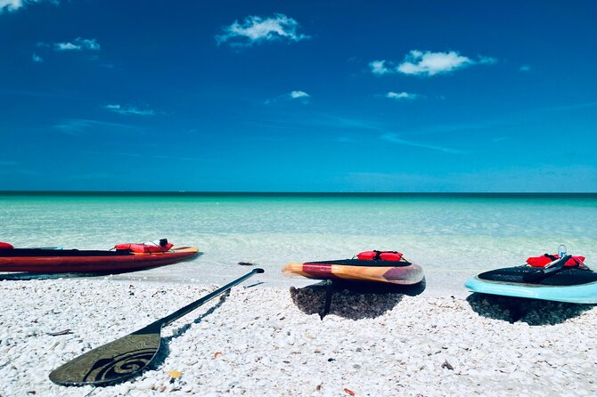 Dolphin, Manatee and Sea Turtle Adventure Tour of Bonita Springs - Wildlife Encounters You Can Expect