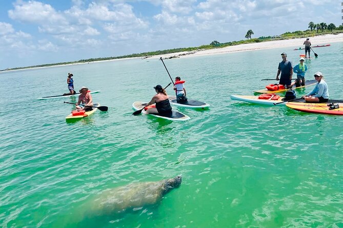 Dolphin, Manatee and Sea Turtle Adventure Tour of Bonita Springs - Weather Considerations and Cancellation Policy