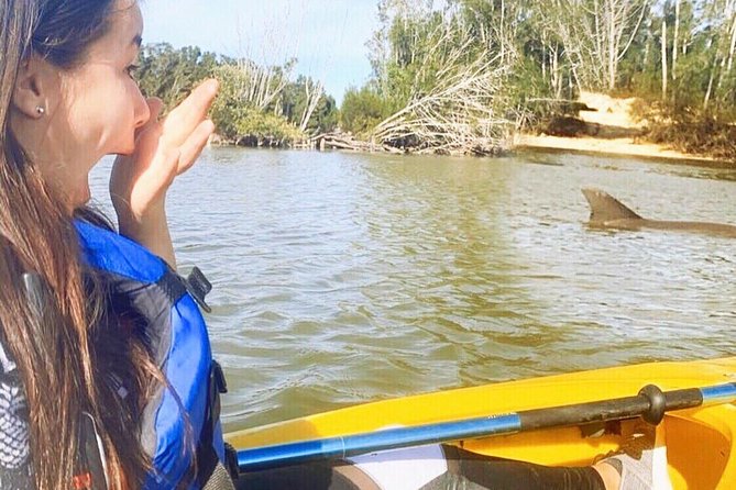 Dolphin & Manatee Kayaking Tour in Orlando Area - Discover the Dolphin & Manatee Kayaking Adventure Near Orlando