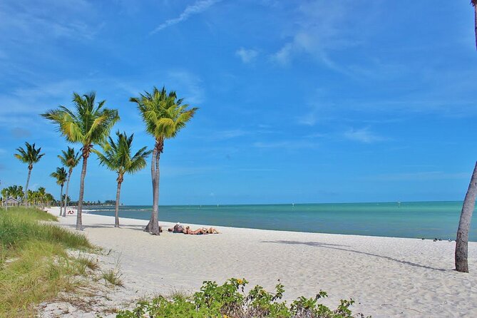 Dolphin Morning Watching & Snorkeling + open bar + 1 day Hop-On Hop-Off Fun - Visiting Key West Landmarks with the Conch Train