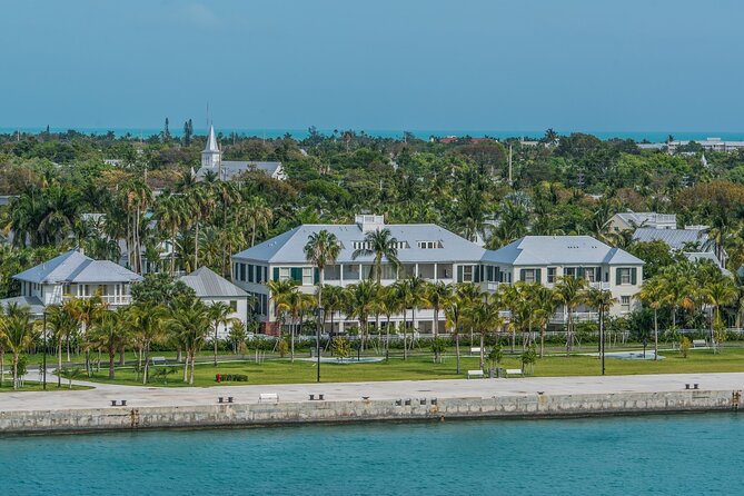 Dolphin Morning Watching & Snorkeling + open bar + 1 day Hop-On Hop-Off Fun - Final Thoughts on the Dolphin Watching & Snorkeling Tour