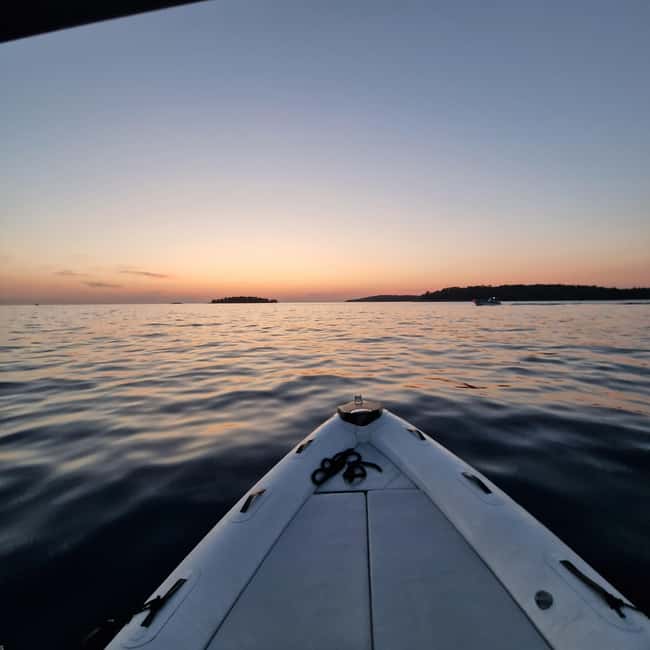 Dolphin private sunset tour Rovinj - Expert Guidance from the Skipper