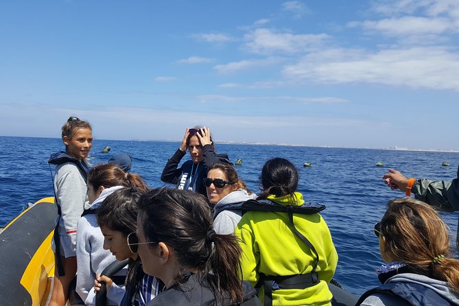 Dolphin Route - Group Size, Booking, and Cancellation Policies