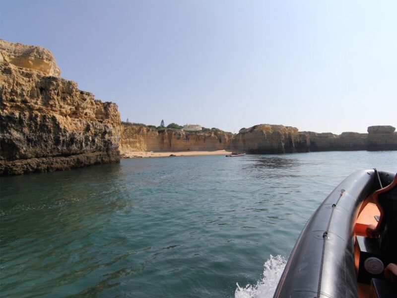 Dolphin Safari and Cave Tour in Vilamoura - Vilamoura Marina as the Departure Point for a Scenic Coastal Adventure