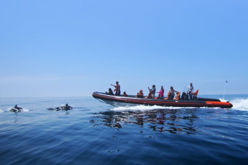 Dolphin Safari and Cave Tour in Vilamoura - Exploring the Algarve’s Famous Caves and Rock Formations