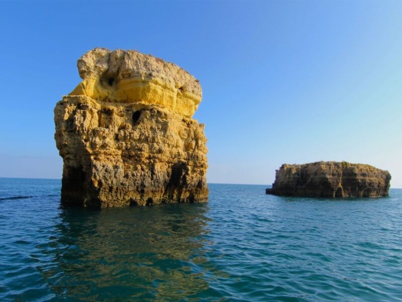 Dolphin Safari and Cave Tour in Vilamoura - Final Thoughts: Is This Tour Right for You?