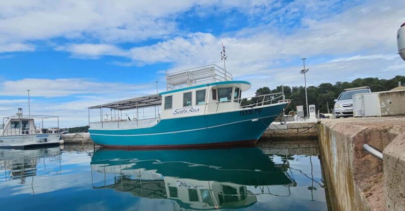 Dolphin Safari Boat Trip from Marina Funtana - What to Expect During the 2.5-Hour Trip
