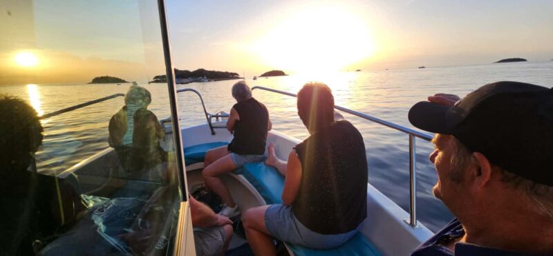 Dolphin Safari Boat Trip from Marina Funtana - Limitations and Considerations for Travelers