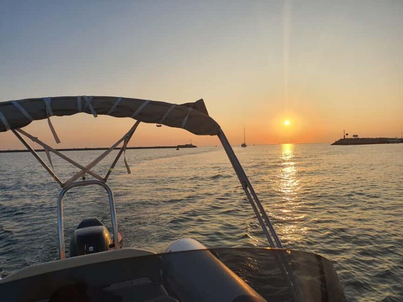Dolphin safari every evening - Discover the Istrian Coast on a Dolphin Safari at Sunset