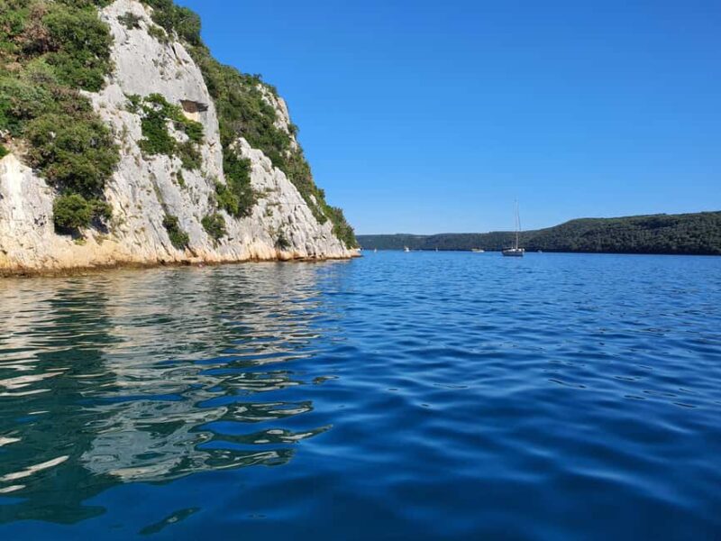 Dolphin safari every evening - The Luxury Speedboat: Comfort and Safety on the Water