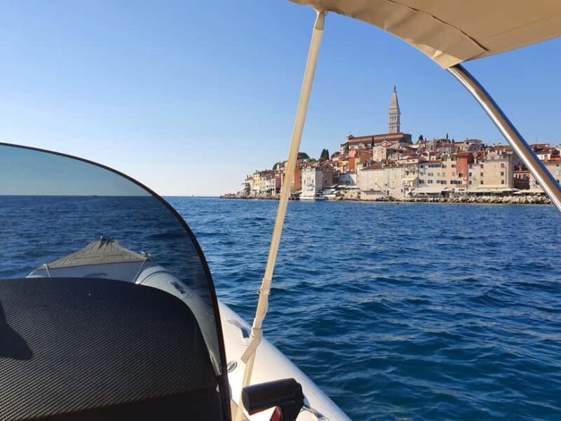 Dolphin safari every evening - Skipper Training and Skill Improvement