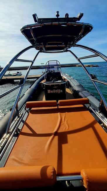 Dolphin safari every evening - Comparing Similar Experiences in Istria