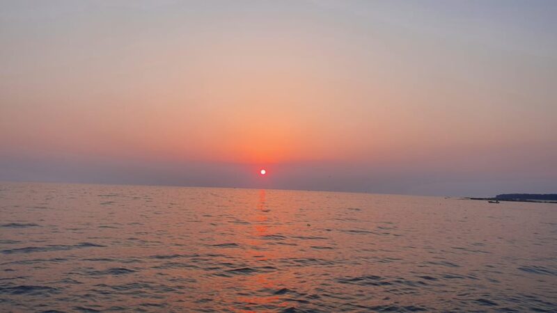 Dolphin safari every evening - Frequently Asked Questions