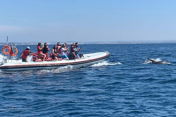 Dolphin Safari, São Rafael Caves & Coastline. - Key Points