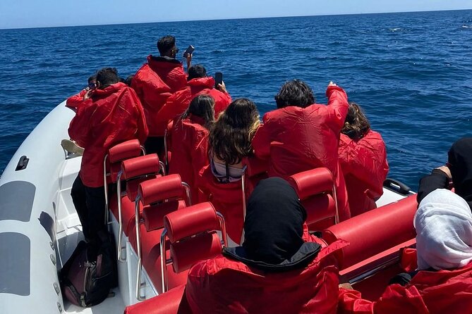 Dolphin Safari, São Rafael Caves & Coastline. - Dolphins: Encounters and Expectations