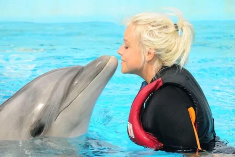 Dolphin Show Tour with Transfer from Alanya & Side - Key Points