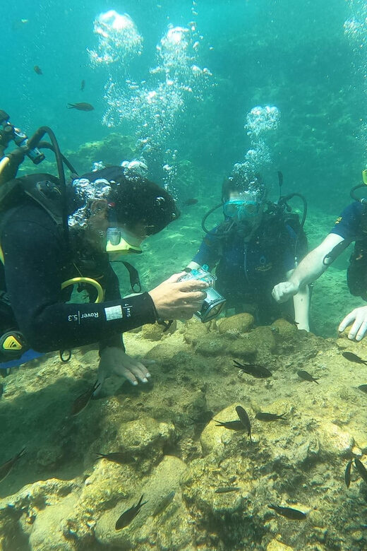 Dolphin Show Tour with Transfer from Alanya & Side - Who Will Enjoy This Tour Most?