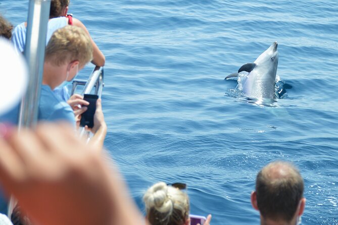 Dolphin Sightseeing Boat Tour from Benalmadena - Practicalities: Booking, Cancellation, and Group Size