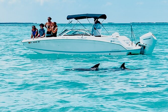 Dolphin & Snorkel - An Up-Cclose Marine Adventure in Key West
