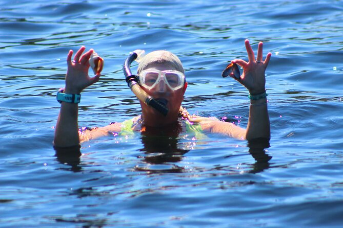 Dolphin Snorkel Tour - Exciting Dolphin Snorkel Adventure with Small Group Comfort