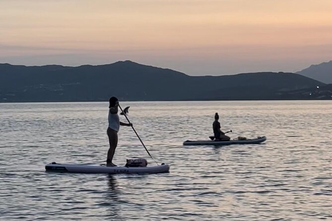 Dolphin-spotting SUP tour with Golfo Aranci aperitif - Additional Details and Practical Considerations