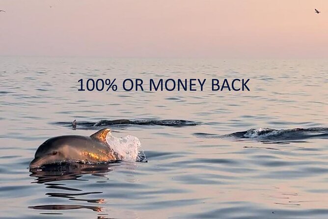 Dolphin Sunrise Adventure with Speedboat - Capture the Magic of Dawn with the Dolphin Sunrise Adventure