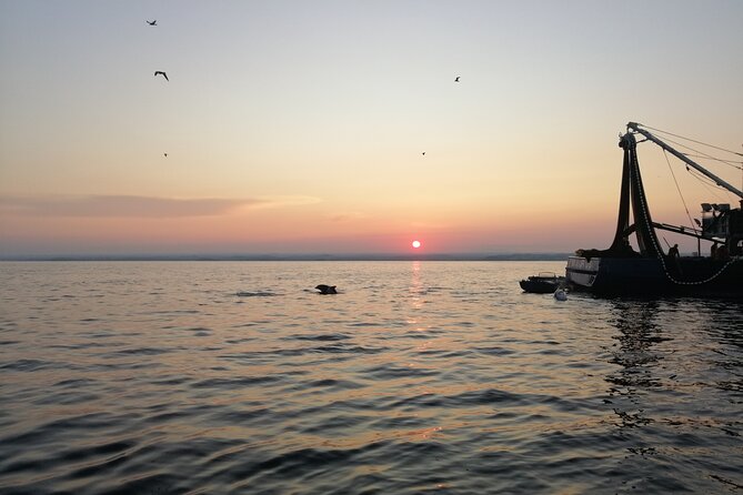 Dolphin Sunrise Adventure with Speedboat - What Makes the Dolphin Sunrise Adventure Stand Out