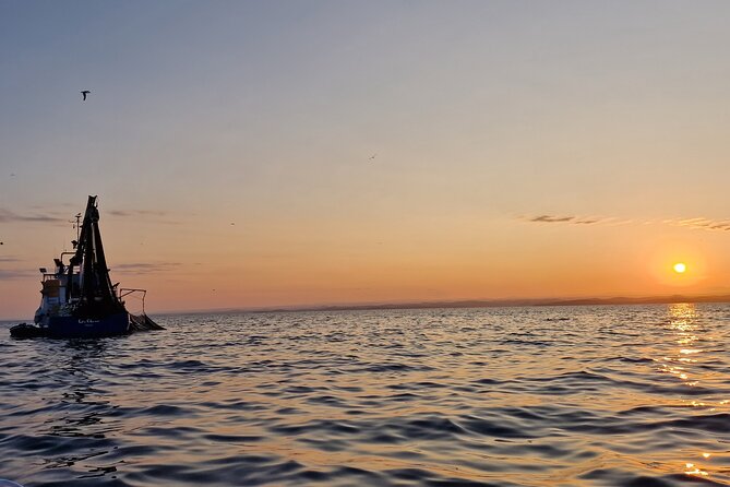 Dolphin Sunrise Adventure with Speedboat - Learning from Knowledgeable Guides