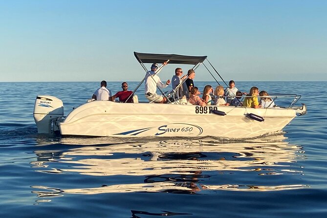 Dolphin Sunrise Adventure with Speedboat - Who Will Enjoy This Tour Most?