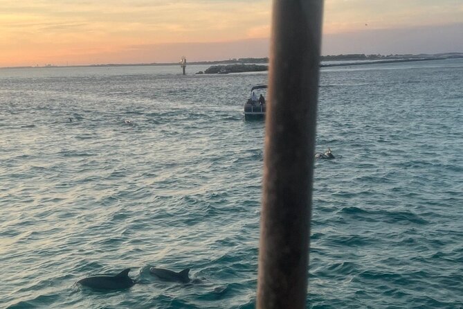 Dolphin & Sunset Cruises - Key Points