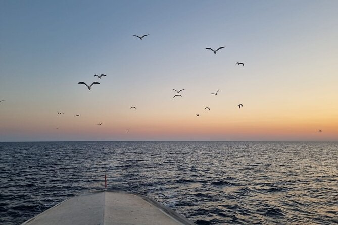 Dolphin & Sunset tour with Brijuni panorama - The Historical and Natural Significance of Brijuni Islands