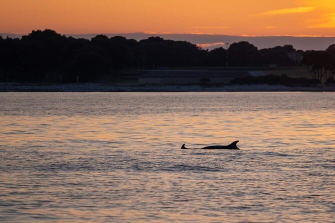 Dolphin & Sunset tour with Brijuni panorama - Practical Information: Booking, Cancellation, and Accessibility