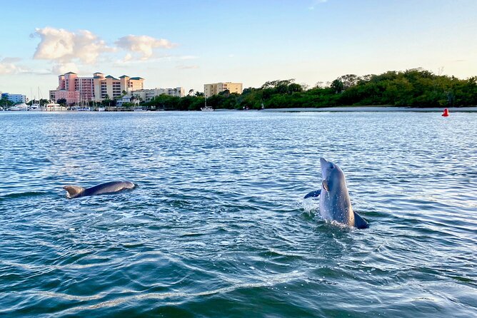 Dolphin Tiki Cruise around Fort Myers Beach - Key Points
