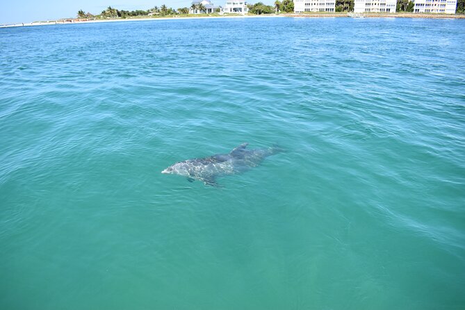Dolphin Tiki Cruise around Fort Myers Beach - Tour Accessibility and Practical Tips