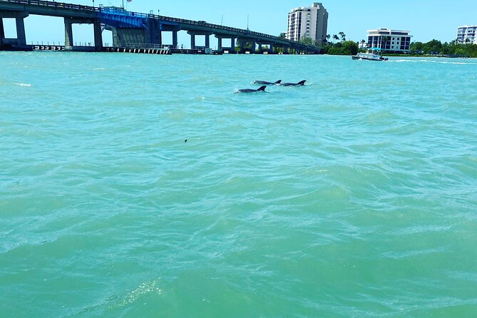Dolphin Tiki Cruise around Fort Myers Beach - What Makes This Tour Stand Out from Others