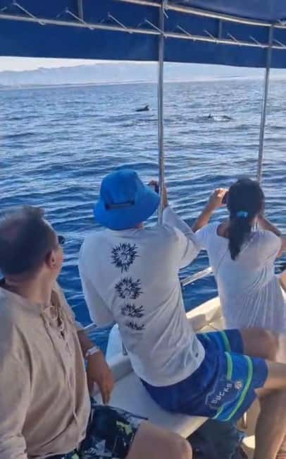 Dolphin tour 2 hours - Accessibility and Suitability for Different Visitors