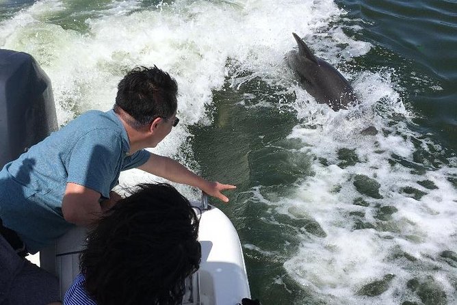 Dolphin Tours - Fort Myers Beach / Naples - Coastal Scenery and Photo Opportunities