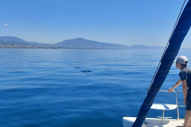 Dolphin trips on a catamaran - Swimming and Sea Bathing Opportunities