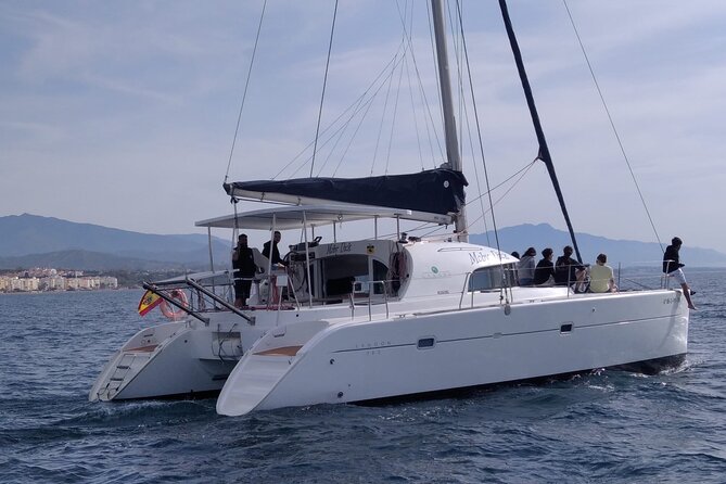 Dolphin trips on a catamaran - Practical Details and Booking Information