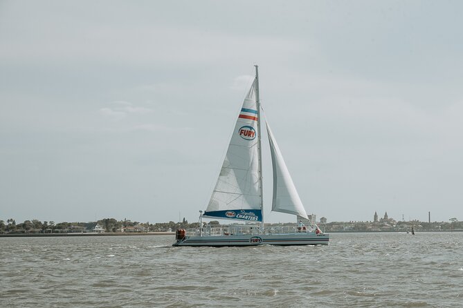 Dolphin Watch & Harbor Tour in Historical St. Augustine - The Crew and Guide Style