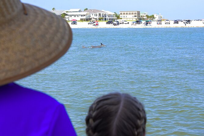 Dolphin Watch & Harbor Tour in Historical St. Augustine - Pacing and Duration of the Tour