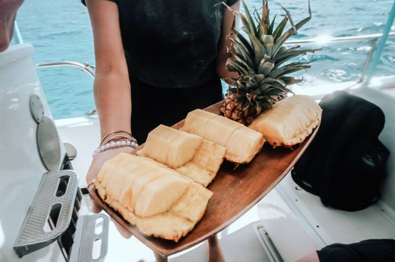 Dolphin Watch Snorkel and BBQ in Kona, Big Island - Secluded Snorkel Spots: Off-the-Grid and Marine Riches