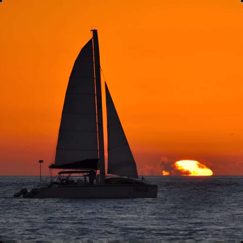 Dolphin Watch + Sunset Sail - Key Points