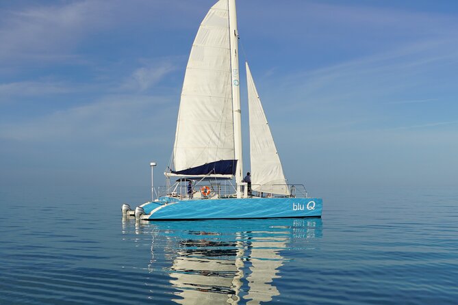 Dolphin Watch + Sunset Sail with Honest Eco - Sunset Views from Key West’s Waters