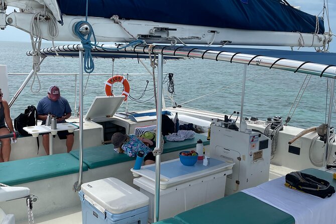 Dolphin Watch + Sunset Sail with Honest Eco - The Crew’s Expertise and Local Knowledge