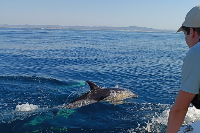 Dolphin Watching + 2 Islands Tour - From Faro - Discover the Dolphin Watching + 2 Islands Tour in Faro