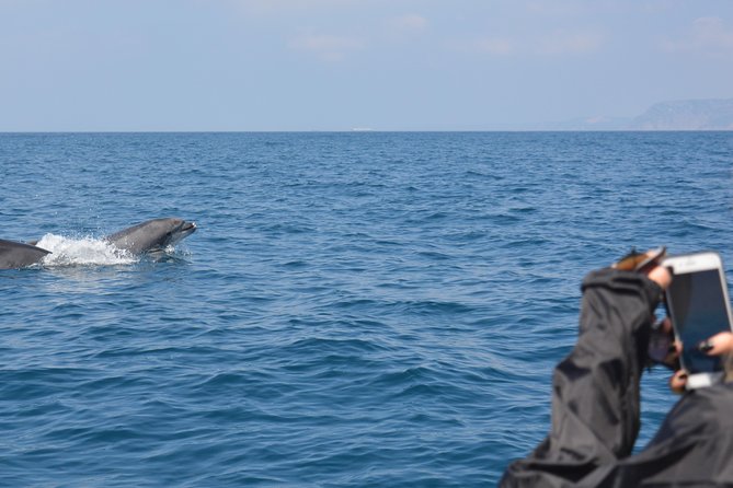 Dolphin Watching and Boat Tour in Sesimbra - Scenic Coastal Navigation and Cave Exploration