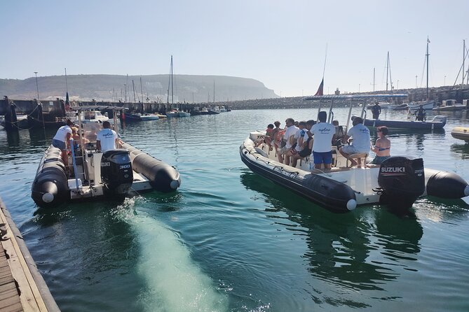 Dolphin Watching and Boat Tour in Sesimbra - Return to Sesimbra Harbour and Post-Tour Facilities
